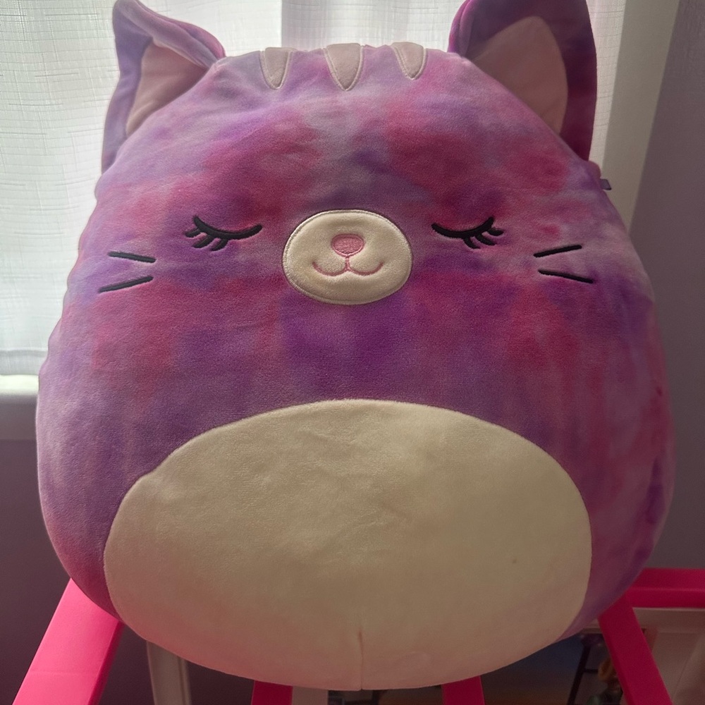 Squishmallows Pink and Purple Plush